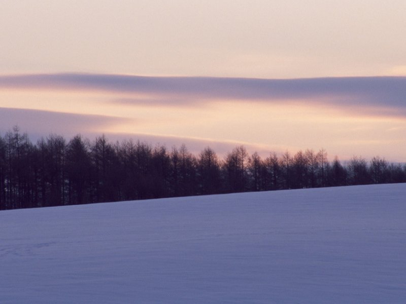 scenery10m.jpg