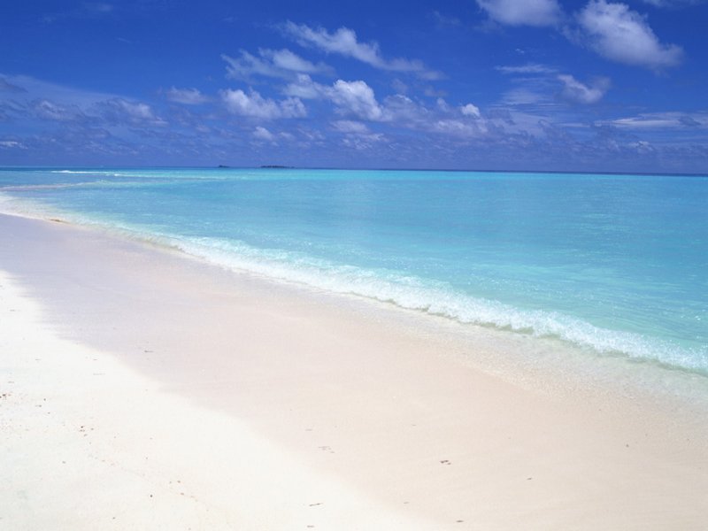 scenery61m.jpg