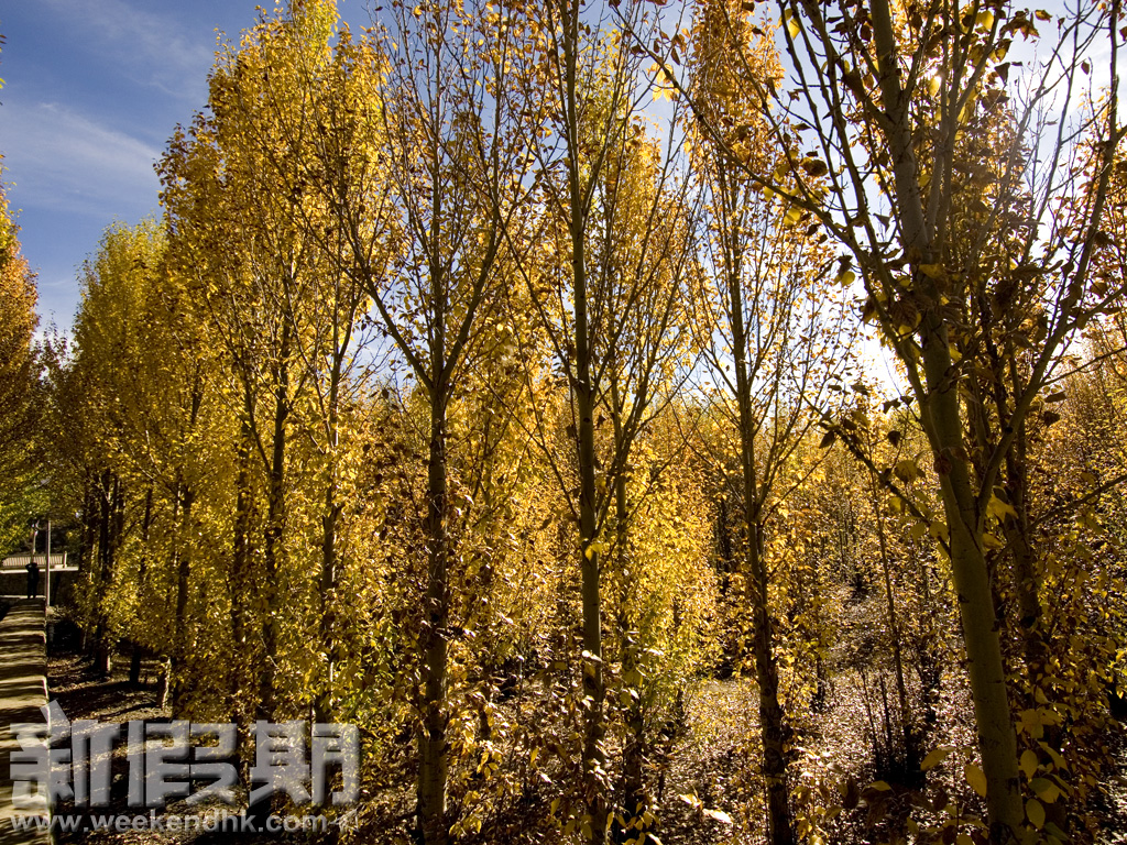 1024_220.jpg