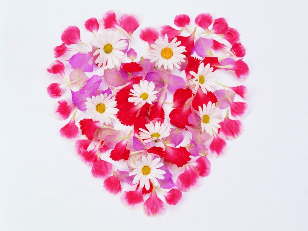 love025.jpg