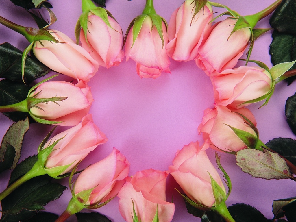 love026.jpg