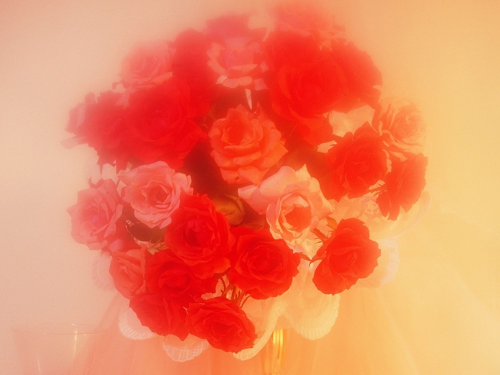 love033.jpg