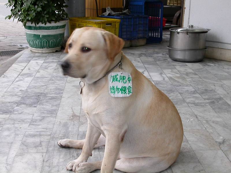 A.jpg